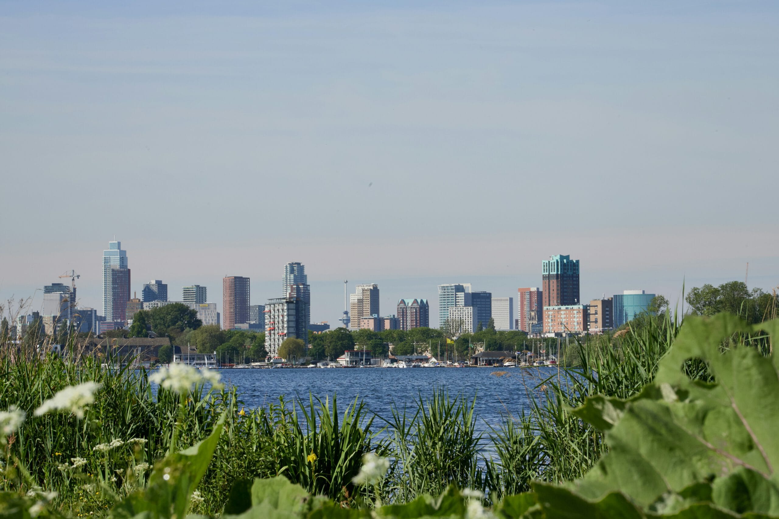 Twin Cities backflow testing